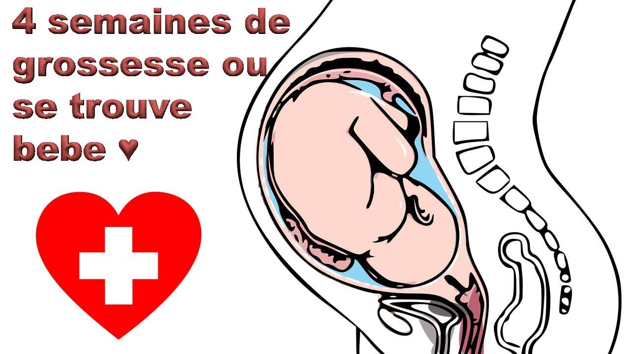 Semaines De Grossesse Ou Se Trouve Bebe La Grande R V Lation