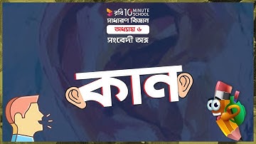 ০৬.০৩. অধ্যায় ৬ : সংবেদী অঙ্গ - কান (Ear) [Class 6]