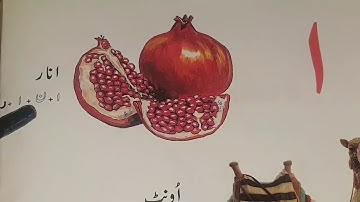 class prep Urdu (video 1)