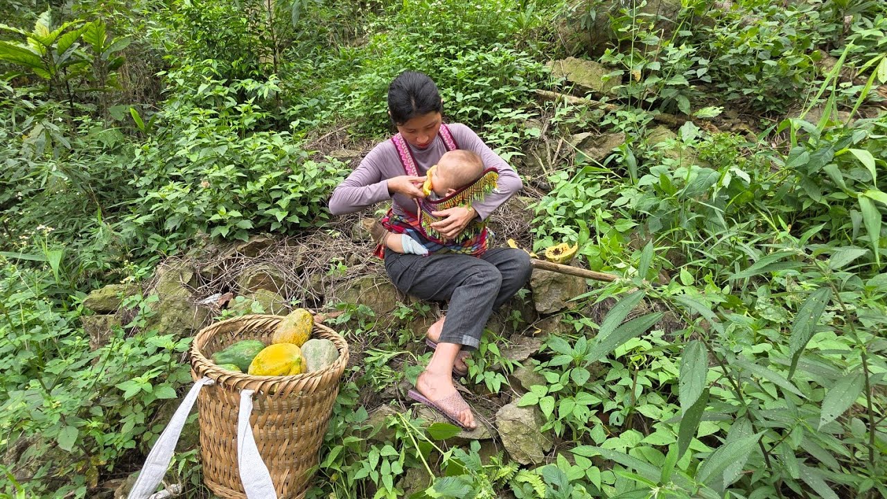 Single mother goes into the forest to find banana flowers and papaya to ...
