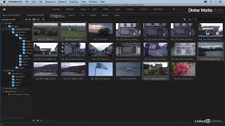 04 - Transcoding media and creating proxies | L3nda Premiere Pro 2020 Essential Training Guide