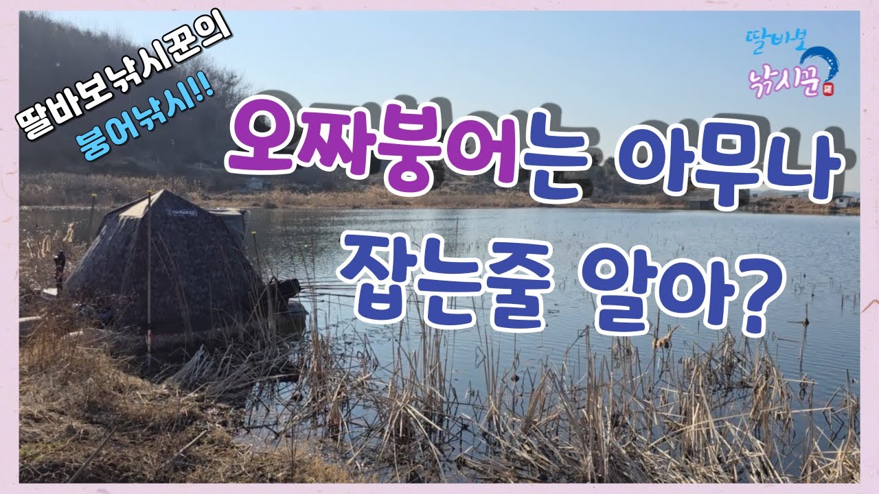 강정제 5짜붕어는 아무나 잡는줄 알아? #군산 #오짜터 #한방터