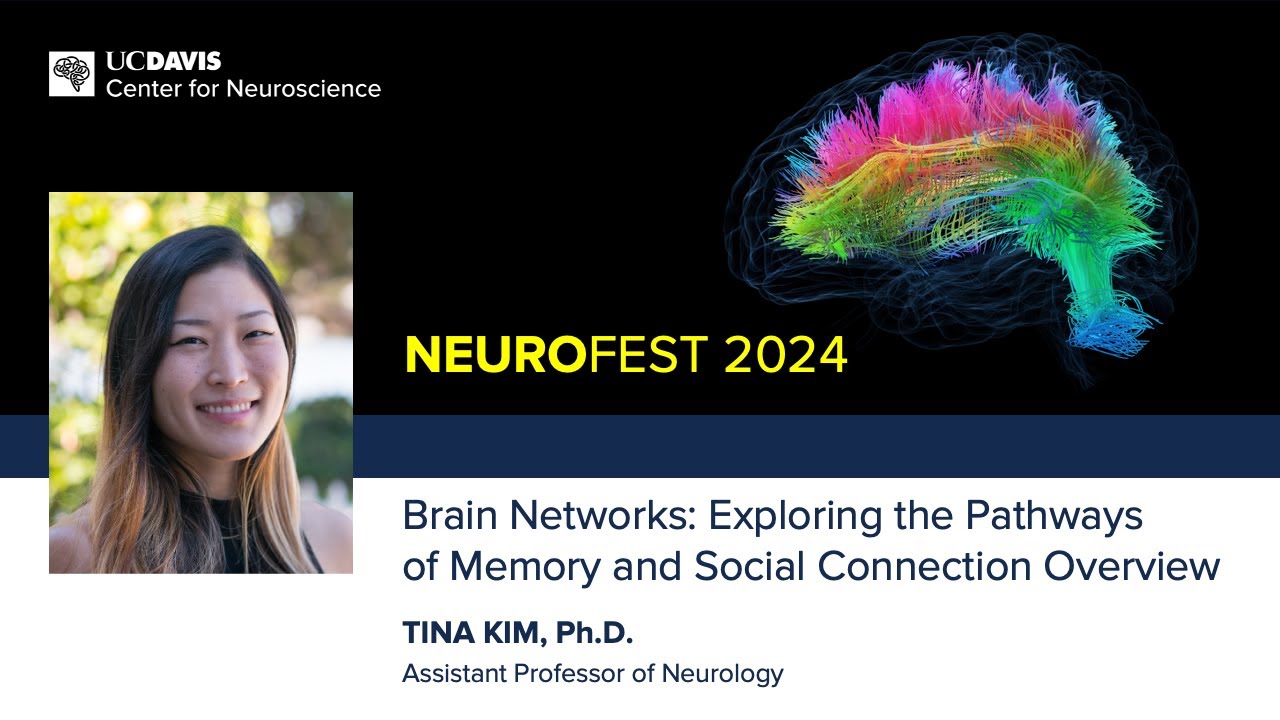 Tina Kim, Ph.D. —  Brain Networks: Exploring the Pathways of Memory and Social Connection Overview