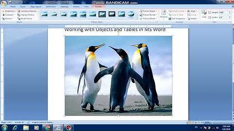 Revision of chapter- 3 ( Working with Objects and Tables in MS Word)
