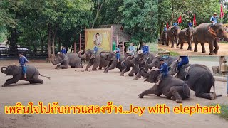 สุดจะประทับใจ..ได้ขี่ช้างไทยให้ทั่วโลกชม @ศูนย์อนุรักษ์ช้างไทยลำปาง