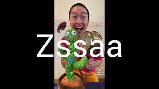 Zssaa Sound Effects