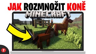 Jak rozmnožit koně v Minecraftu | Návod | MINECRAFT / PC ...