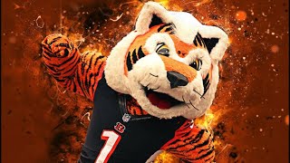 The History Of Who Dey, the Cincinnati Bengals mascot Trailer