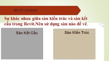 NHT_Sàn Kiến Trúc và sàn kết cấu trong Revit có gì khác nhau