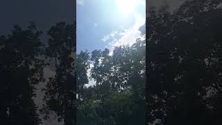 sunlight #music #dj
