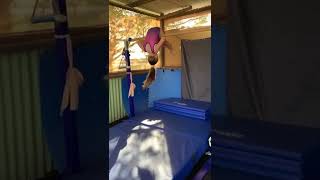 Gymnastics Direct Elite High Bar