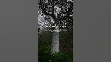 ومن جاء بالسيئة فكبت وجوههم في النار | القارى عبدالرحمن مسعد سورة النمل #quran  #رحيق_الايمان