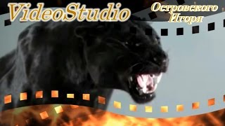 Сергей Сухачев == Пять Минут Прощания ==