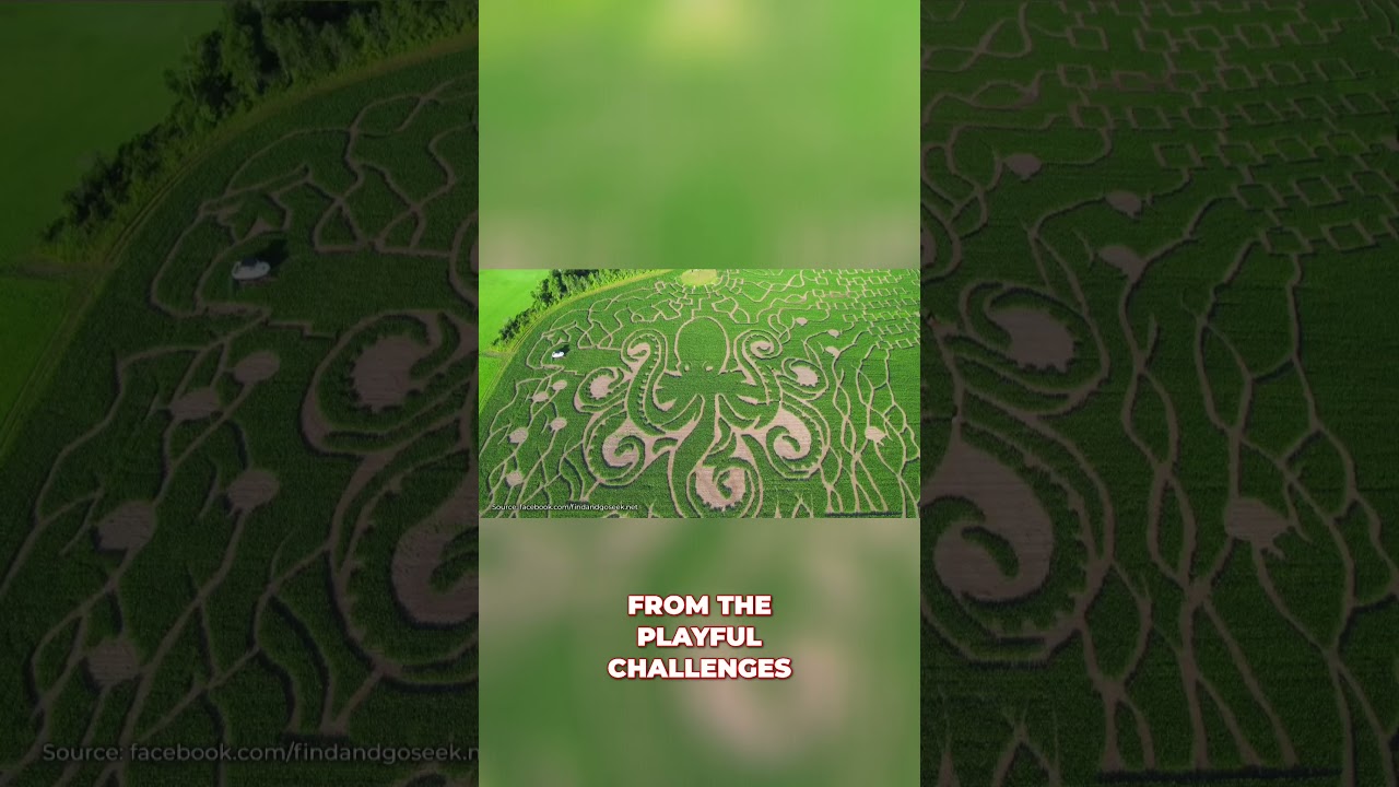 Uncover Vermont's Hidden Gems  A Must See Adventure! 