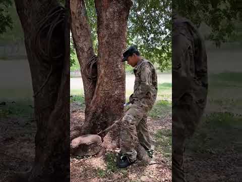 YTPH| El SAS enseña como sacar veneno a Larin #ytph #humor
