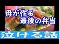 【涙腺崩壊】母が作る最後のお弁当の味　～泣ける話～