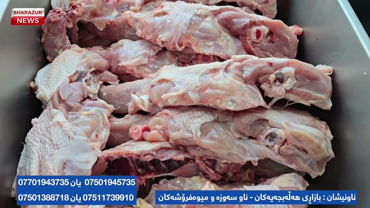 مریشکی برژاو و مریشکی فرێشی زمناکۆ