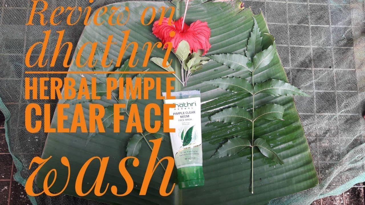 Review on Dhathri herbals pimple free clear neem face wash YouTube