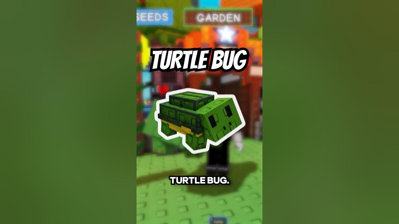 How to do the turtle bug in Grow a Garden #roblox #growagarden How to do the turtle bug in Grow a Garden #roblox #growagarden