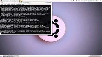 Install Compiz Settings Manager ~ Ubuntu 10.10
