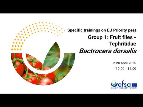 Statistically sound survey of Bactrocera dorsalis - Spanish subtitles