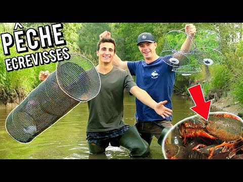 Vidéo: Dois-je mettre des écrevisses dans mon bassin ?