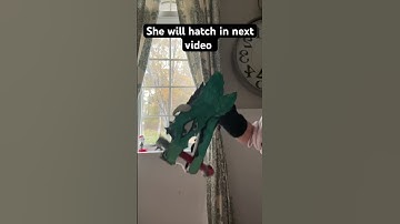 Eheheheheh the next video is now