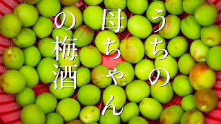 母から梅酒を習う。