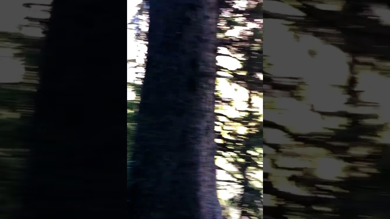 Look at this magical lake! 