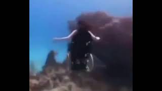 stan twitter: woman in wheelchair scuba diving