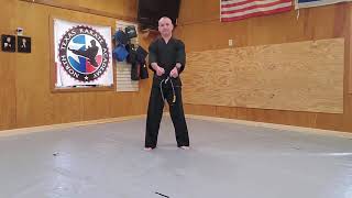 Basic karate kicks Mr. Starnes