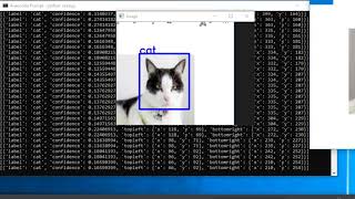 Famous YOLO | Cat Detection Profile