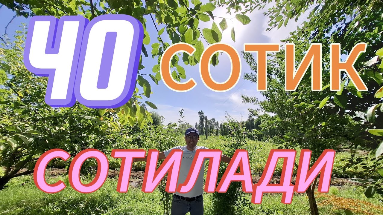 АРЗОН 40-СОТОК УЙ-ЖОЙ СОТИЛАДИ. ТОШКЕНТ ВИЛОЯТИ ОККУРГОН ТУМАНИ.
