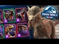 THE BEST TEAM IN THE GAME!?! - Jurassic World Alive | Ep13 ( Jurassic GO )