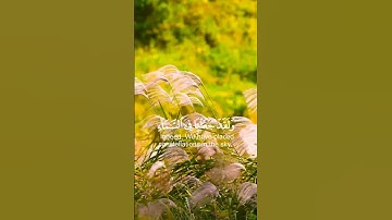استغفر الله واتوب اليه استغفرالله العظيم. القارئ #هزاع_البلوشي ،سورة الحجر. #القرآن #القرآن_الكريم
