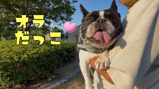 今年の夏は暑すぎるー💦美味しいもの食べて7兄弟もパワーアップ！