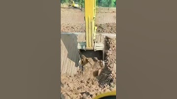 Watch How the Excavator Precisely Builds a Slope?