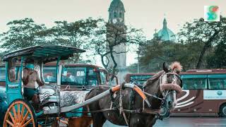 Horse Riding in Street Sound Effect - No Copyright[Download Free]
