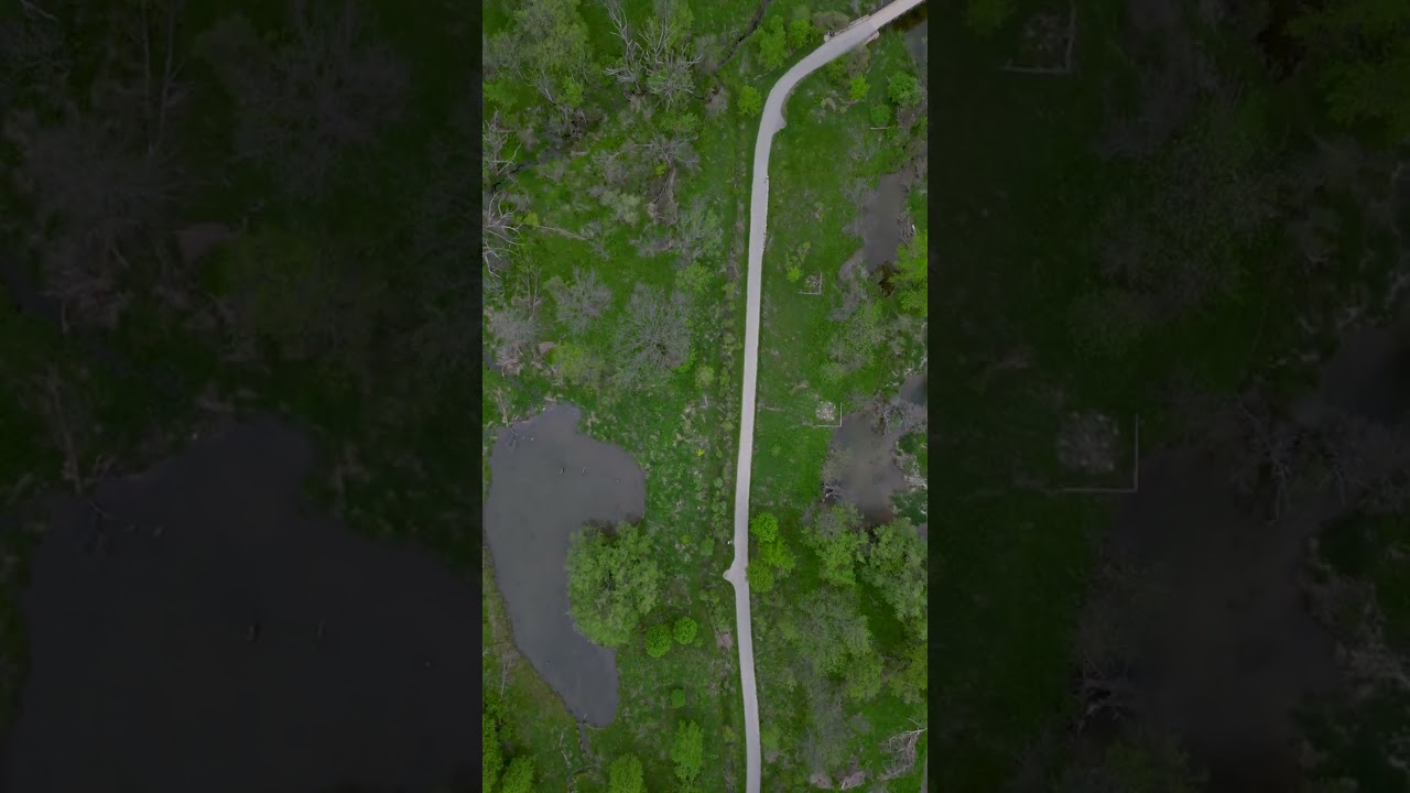 Drone over Pond | Aerial View of Medway Valley Trail 