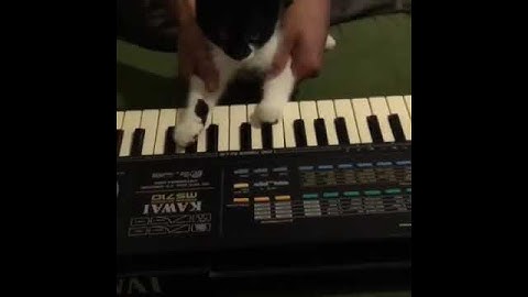 Thumbnail of Kimiko plays X File theme song