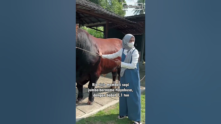 5 Artis Kurban Sapi Jumbo Untuk Idul Adha, Bobotnya Lebih Dari 1 Ton #shorts #sapi #jumbo