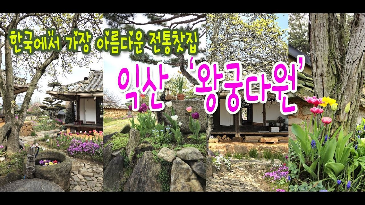 가장 아름다운 한국 전통 찻집 익산 왕궁다원, #4K, #익산왕궁다원, #왕궁다원, #가장아름다운전통찻집, #전통찻집, #익산여행