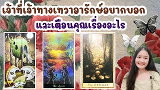 เจ้าที่เจ้าทางเทวาอารักษ์อยากบอกและเตือนคุณเรื่องอะไร🌹pick a deck🏡💍👩‍❤️‍💋‍👨🍀🦋