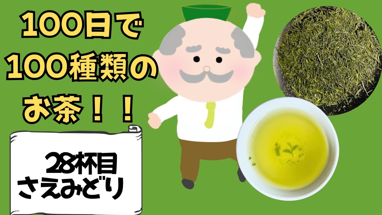 How to brew Sencha] 100-Day Tea Challenge! [28th Cup, Saemidori