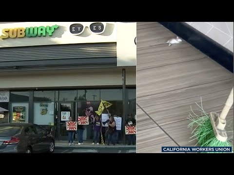 Subway restaurant shut down after rat infestation