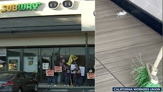 Subway restaurant shut down after rat infestation