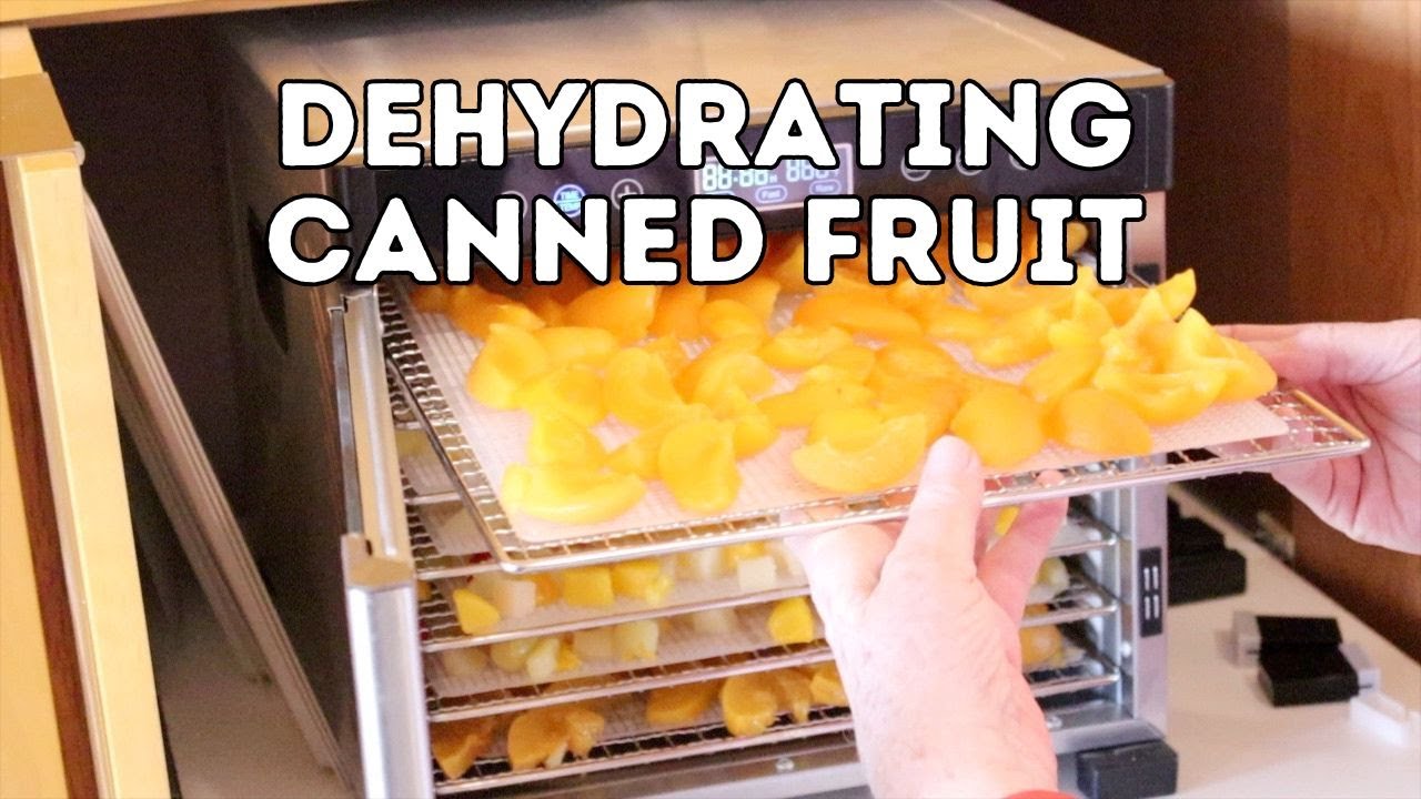 Dehydrating Canned Fruit YouTube
