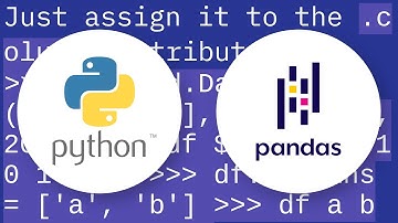 Renaming column names in Pandas