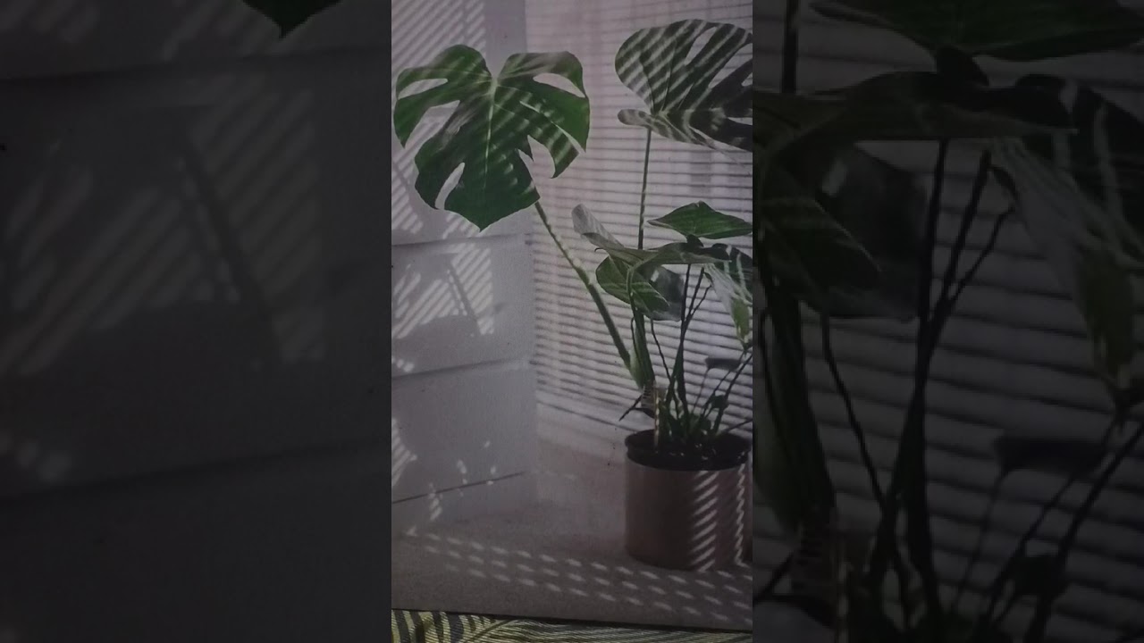 WHEN YOU FIND ME  By Gale Original Composition 