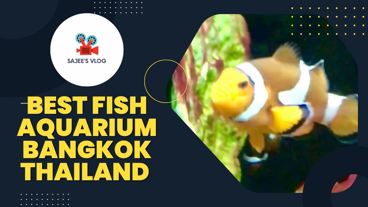World of Aquatic Life at Bangkok's Premier Fish Aquarium | Sajee's Vlog